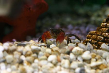 Aquarium