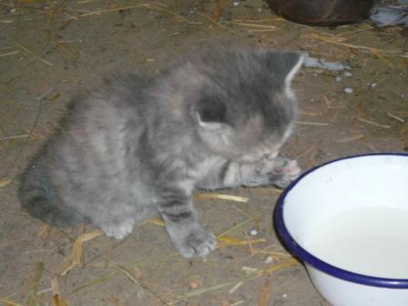 Luna