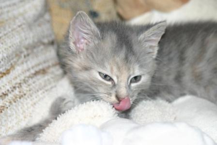 Luna